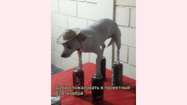 «С рекламой всё плохо, давайте немного подрисуем отчёт» — как подрядчики подделывают отчёты и как от этого защититься             
                    «С рекламой всё плохо, давайте немного подрисуем отчёт» — как подрядчики подделывают отчёты и как от этого защититься