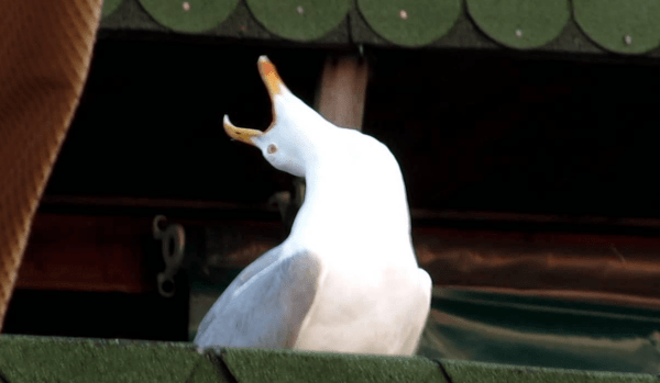 Девочки, все сюда! Валя, Аннушкаа! Как мы собрали 2000 человек на форум сетевого маркетинга за 3 недели до дедлайна
Девочки, все сюда! Валя, Аннушкаа! Как мы собрали 2000 человек на форум сетевого маркетинга за 3 недели до дедлайна