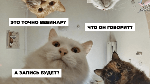 
                    Вебинары в B2B-маркетинге: инструкция из 9 шагов            