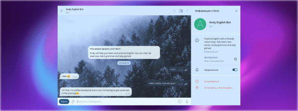 Топ-25 полезных ботов в Телеграм, от планеров до поисковиков
Топ-25 полезных ботов в Телеграм, от планеров до поисковиков
