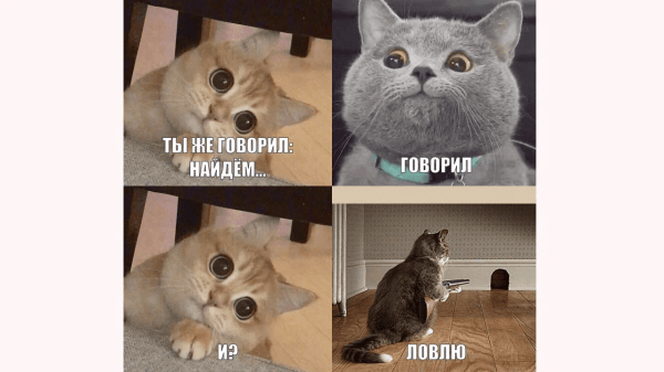 Продаём квартиры в ипотеку на Пхукете через ВКонтакте: кейс клиента Vitamin.tools             
                    Продаём квартиры в ипотеку на Пхукете через ВКонтакте: кейс клиента Vitamin.tools