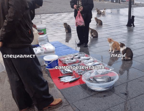 Как прокачать личный бренд с помощью самопрезентации?
Как прокачать личный бренд с помощью самопрезентации?