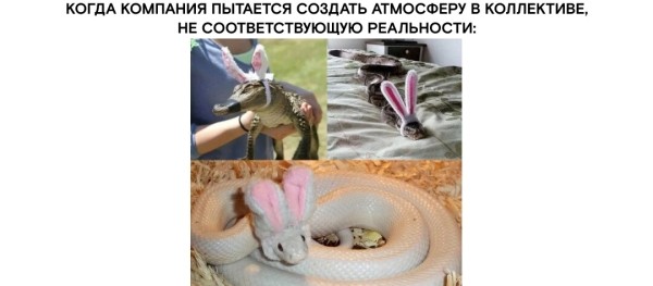 Что для нашей команды дороже денег
Что для нашей команды дороже денег