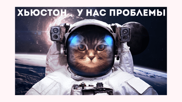 
                    ​«Мозг – липучка для негатива» или эволюционная природа негативных отзывов            