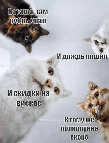 
                    Как мы использовали блокировку аккаунта Артемия Лебедева для повышения продаж у нашего клиента            