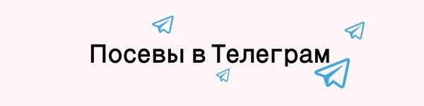 Реклама Telegram Ads и посевы в Телеграм: как забрать весь платный трафик внутри мессенджера и привлечь массу клиентов?             
                    Реклама Telegram Ads и посевы в Телеграм: как забрать весь платный трафик внутри мессенджера и привлечь массу клиентов?
