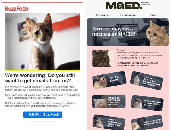 Что делать, если подписчики не читают ваши email-рассылки?
Что делать, если подписчики не читают ваши email-рассылки?