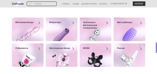 
                    За 4 минуты довели пользователей до покупки игрушек 18+. Кейс: запустили интернет-магазин в Якутске, затмили Ozon и WB            