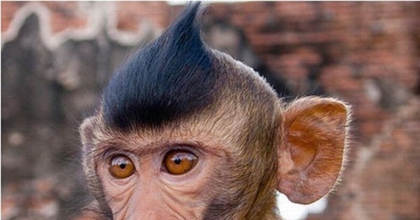 Кейс. Как мы рекламировали карточку на WB через Telegram Ads и получили окупаемость 630%
Кейс. Как мы рекламировали карточку на WB через Telegram Ads и получили окупаемость 630%