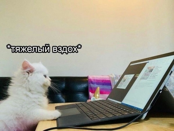 
                    Куда инвестировать деньги?            