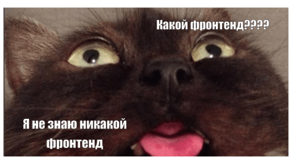 
                    5 советов, которые мы хотели бы услышать, если бы сами заказывали разработку сайта            