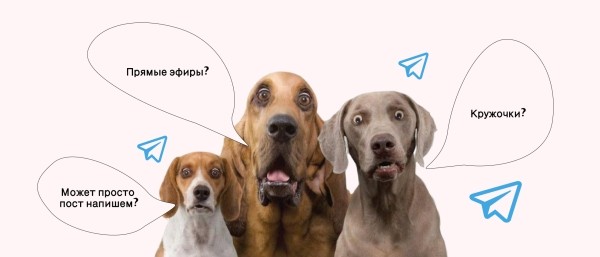 Как создать Телеграм канал: гайд по запуску и раскрутке своего канала в Telegram с нуля             
                    Как создать Телеграм канал: гайд по запуску и раскрутке своего канала в Telegram с нуля