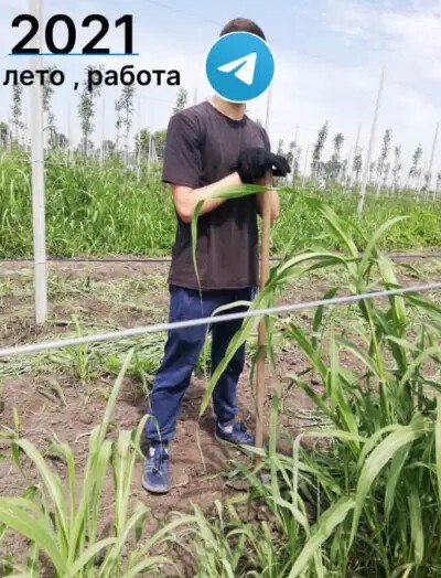 
                    Я бросил учебу и меня уволили. Спасибо Telegram            