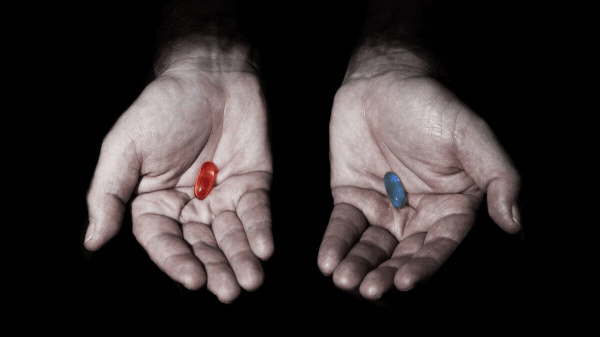 
                    Самый популярный вопрос про Telegram: как заработать и сколько это может принести? Разбираемся вместе.            