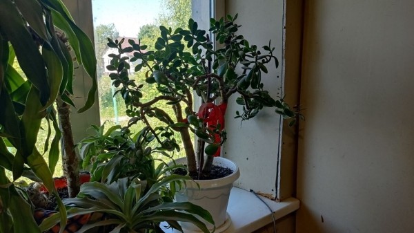 
                    Как мы делаем медиа о бытовой технике миллиардным            