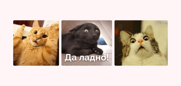 
                    Кейс клиента Vitamin.tools: год продвигаем строительство домов на Авито — 28 612 заявок по 162 ₽ и 1,2 миллиарда выручки            