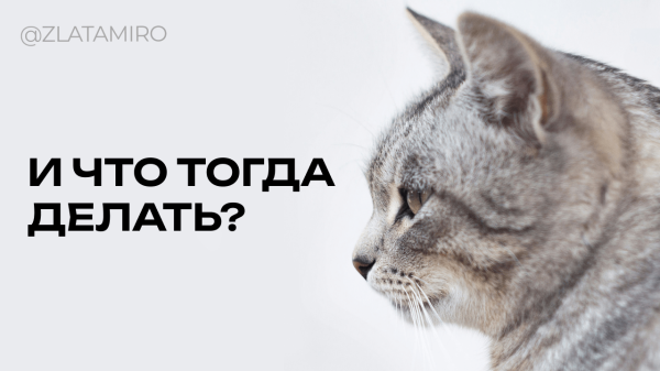 Вам не нужен таргетолог
Вам не нужен таргетолог